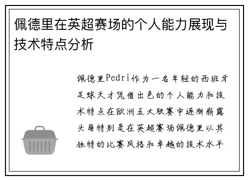 佩德里在英超赛场的个人能力展现与技术特点分析