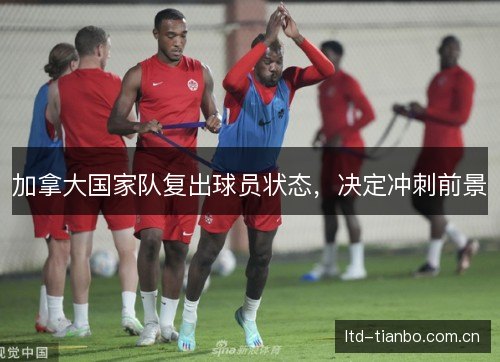 加拿大国家队复出球员状态,决定冲刺前景 加拿大国家队复出球员状态,决定冲刺前景