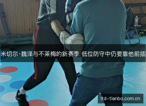米切尔·魏泽与不莱梅的新赛季 低位防守中仍要靠他前插